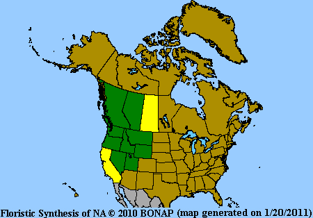 Arnica Range Map